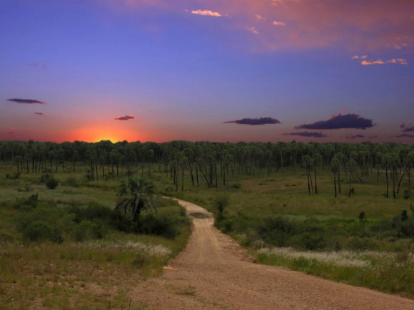 El Palmar entre rios