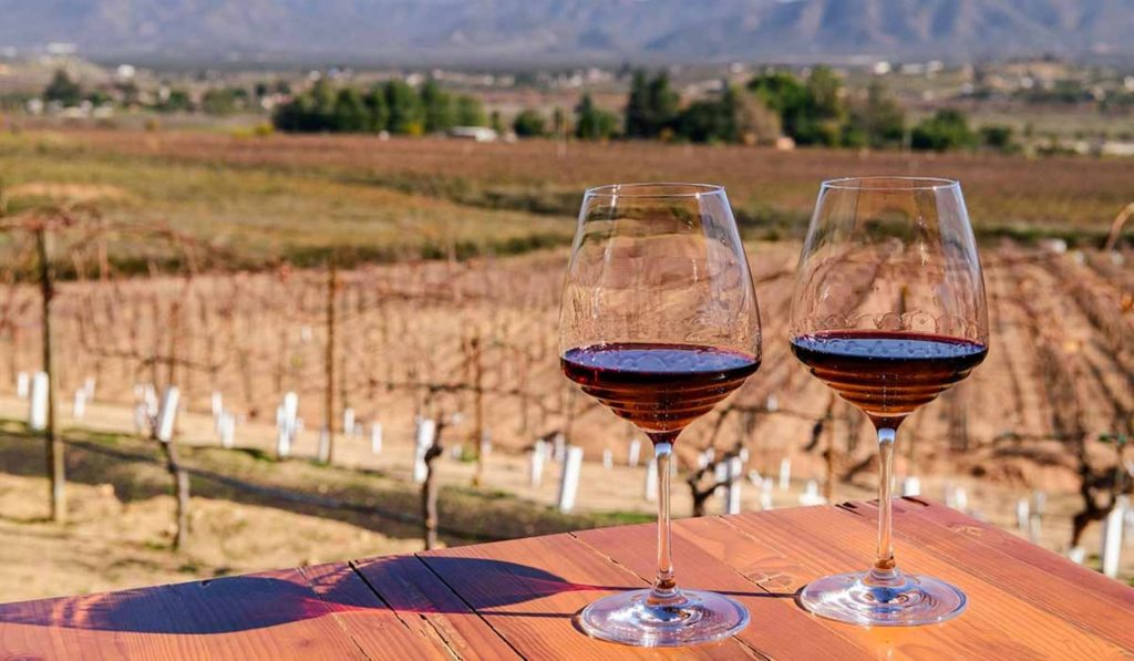 Mendoza wine tours