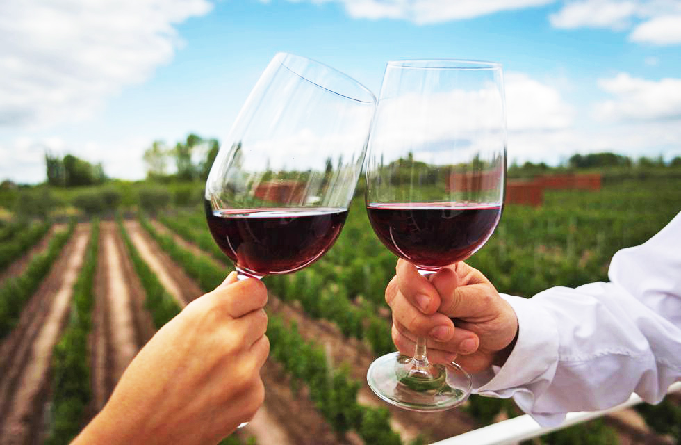 Argentina wine